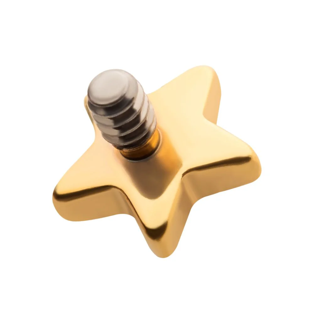 24KT Gold PVD Titanium Internally Threaded with Star Top - Image 3